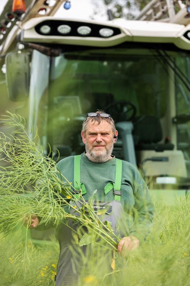 En ny godkendelse af ukrudtsmiddel Focus® Ultra betyder, at der kun er behov for ét produkt til tidlig bekæmpelse af både spildkorn og græsukrudt i vinterraps.